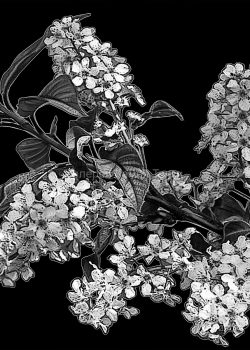 57e53d57b52a0_-.jpg.1e7be2c9436891996e5323e13d477300