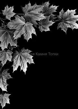 9c65514e70ff