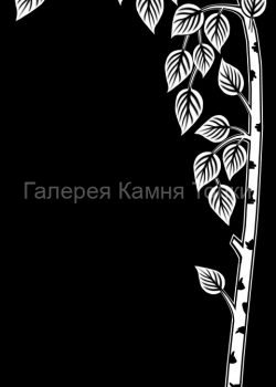 55d70ea8b79e