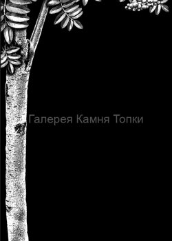 fa9f1a275437