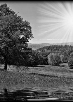 1620819702_2-phonoteka_org-p-fon-na-pamyatnik-priroda-2