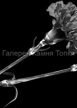 Картинка для гравировки