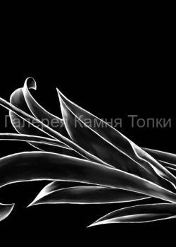 Картинка для гравировки