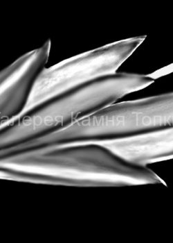 Картинка для гравировки